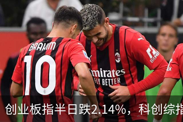 创业板指半日跌2.14%，科创综指跌3.71%，多只沪深300ETF集中放量