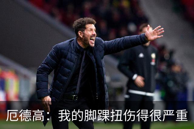 厄德高：我的脚踝扭伤得很严重
