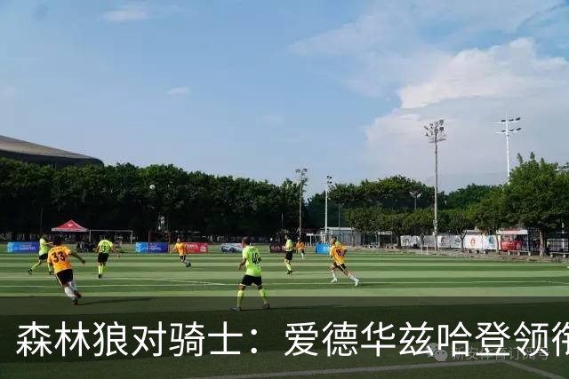 森林狼对骑士：爱德华兹哈登领衔，两队伤情成看点