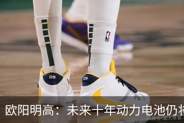 欧阳明高：未来十年动力电池仍将以磷酸铁锂为主，半固态电池不能与全固态混为一谈
