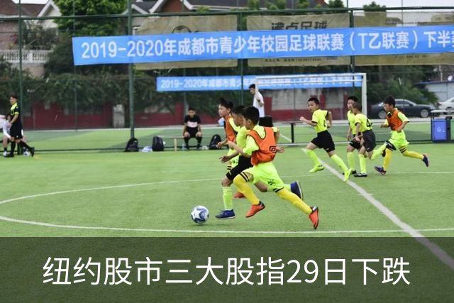 纽约股市三大股指29日下跌