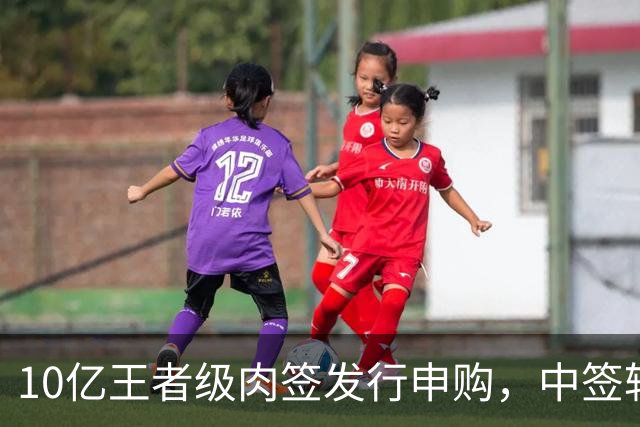 10亿王者级肉签发行申购，中签较容易，股民打新能吃肉！