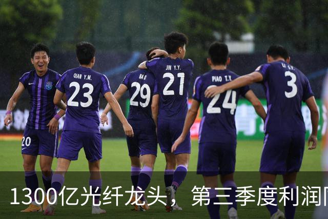 1300亿光纤龙头，第三季度利润同比增长1742%